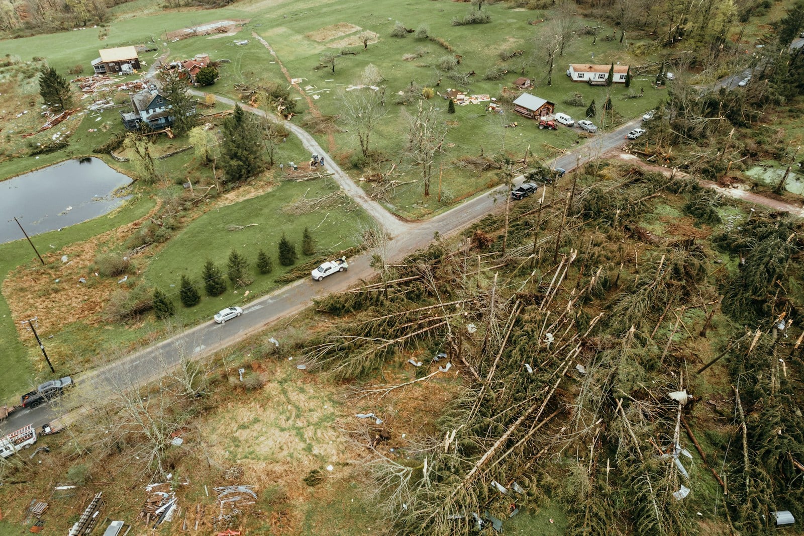 Voices of Resilience — still 2