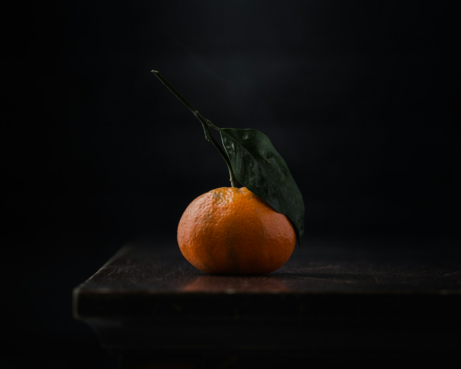 Culinary Journeys — still 1